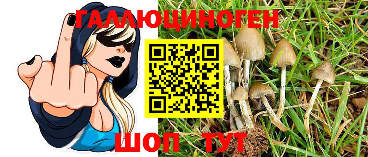 Галлюциногенные грибы Psilocybine cubensis  Галлюциногенные грибы Psilocybine cubensis  Вход с VPN  Новоалександровск 
